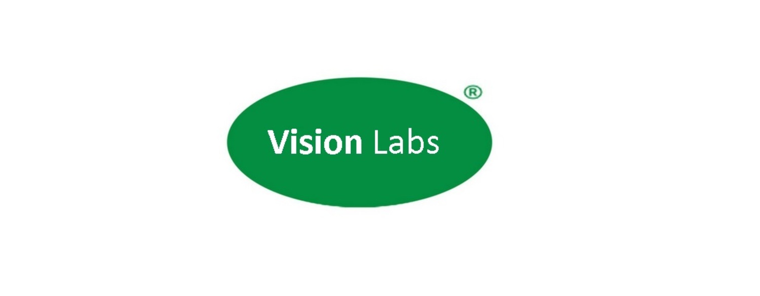 Vision Labs Logo